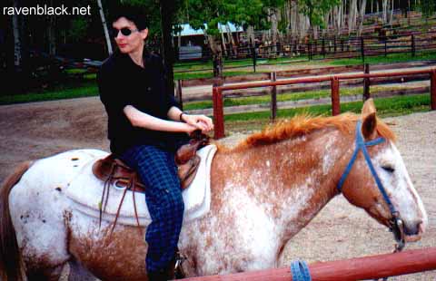 RavenBlack perched on a horse.